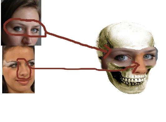 Creation of New Face: Step 3